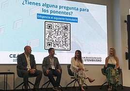 Amelia Navarro en el II Congreso de Empresas Responsables y Sostenibles ADVANCER+S.