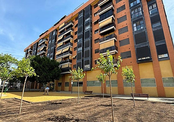 Replantación de arbolado en San Vicente del Raspeig.