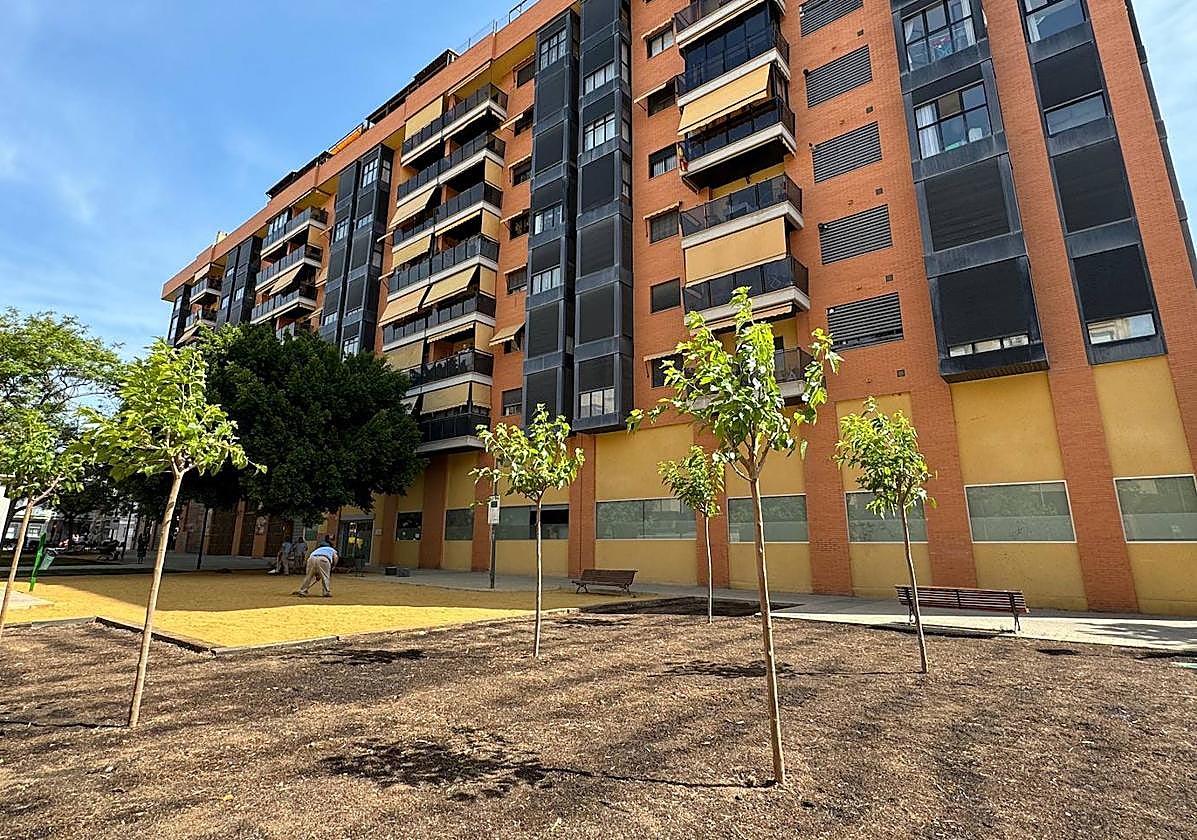Replantación de arbolado en San Vicente del Raspeig.