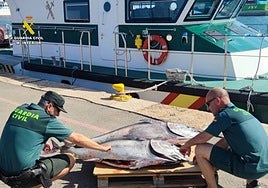 Los guardias civiles, con los atunes intervenidos en puerto.