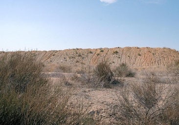 Hallan la cabeza y las extremidades del torso calcinado encontrado en Fontcalent