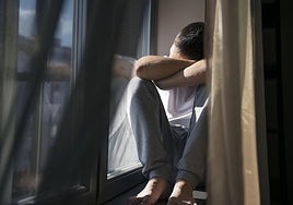 Los investigadores han descubierto que el uso de hormonas puede favorecer la interacción con individuos nuevos.