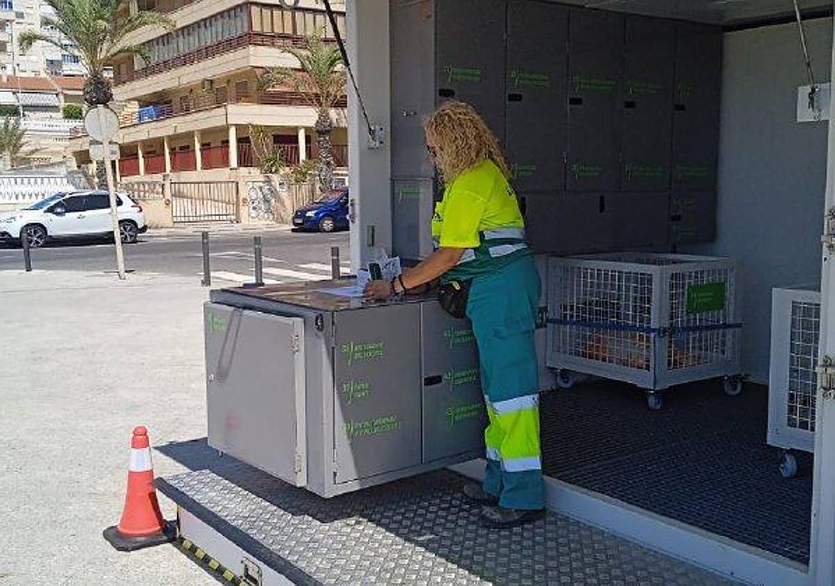 Imagen principal - Arenales estrena este verano un punto limpio móvil informatizado