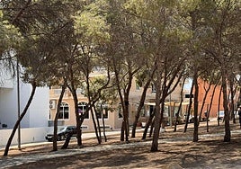 El hotel de Guardamar del Segura que ha registrado numerosos actos violentos.