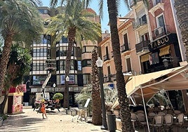 Palmera caída en La Glorieta de Elche.
