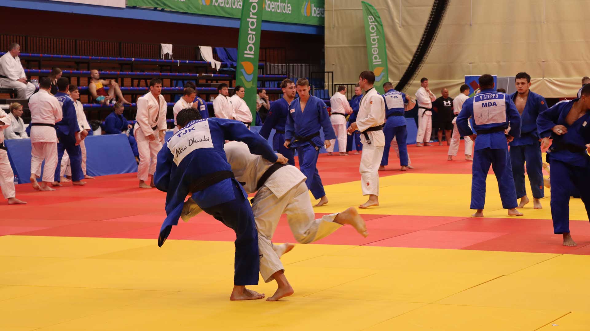 Judokas durante un entrenamiento en las instalaciones del Palau d'Esports L'Illa de Benidorm.