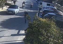 Actuación de la Guardia Civil contra la banda de 'cogoteros'.