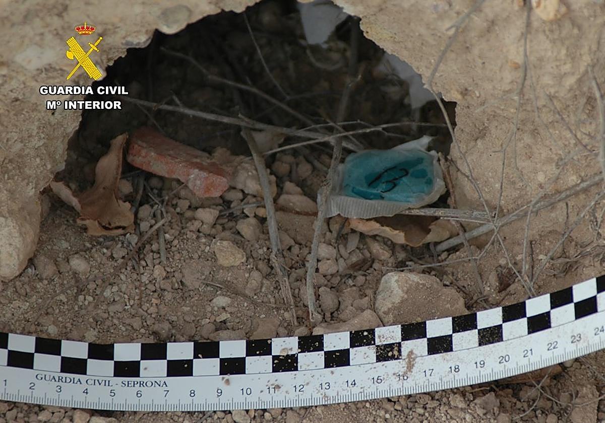 Una de las pruebas recabadas por el Seprona.