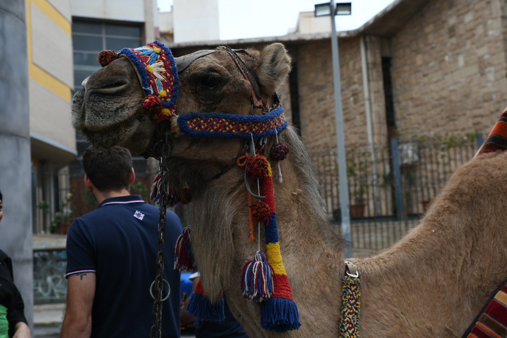 San Blas retumba en el &#039;Avís de Festa&#039; de sus Moros y Cristianos