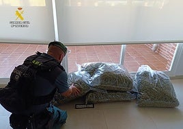 Un agente de la Usecic con la droga decomisada.