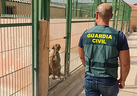 Un agente de la Guardia Civil en una perrera.