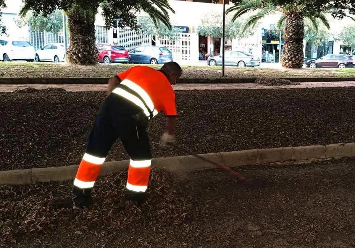 Personal de limpieza.