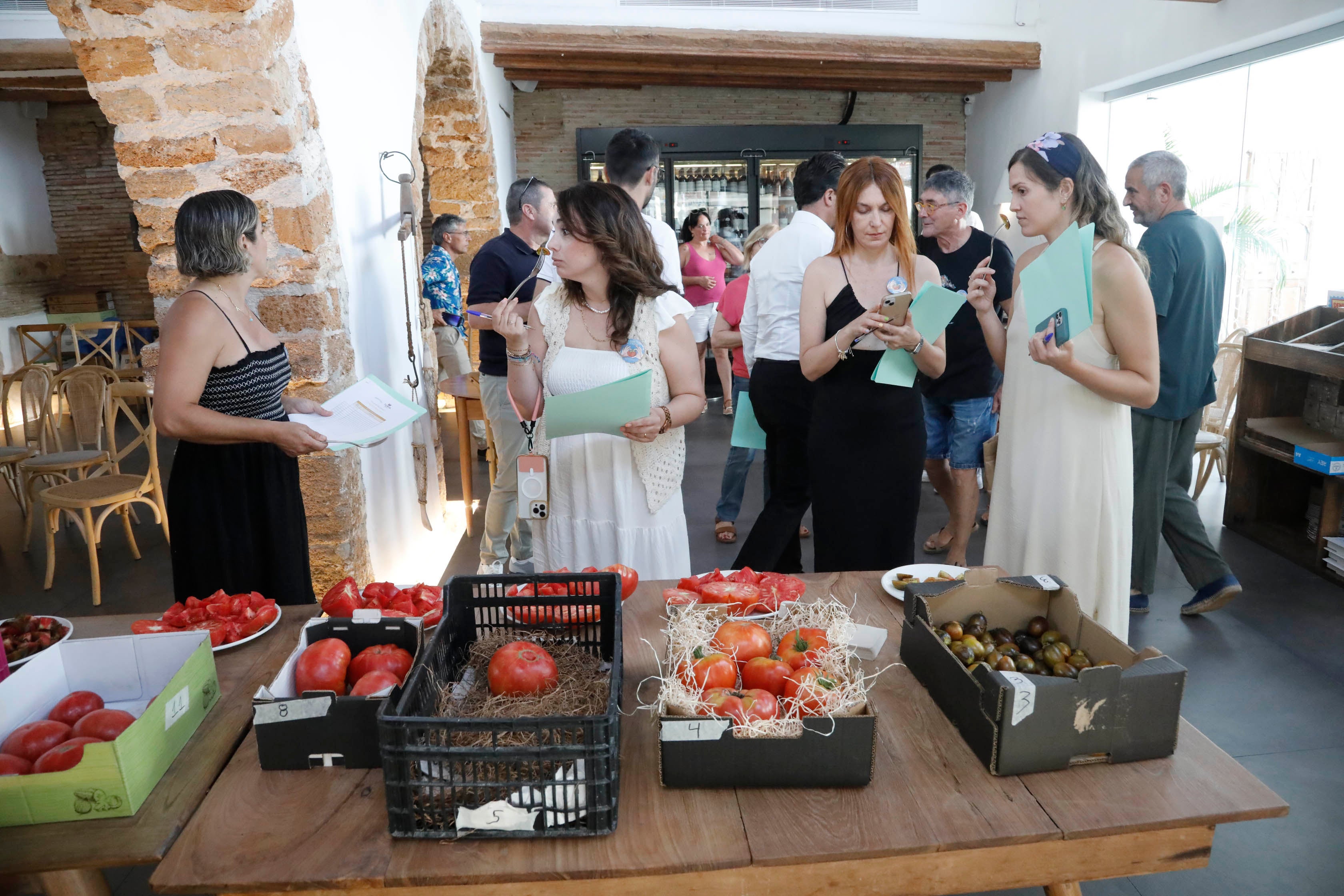 Els Magazinos elige el mejor tomate de la Comunitat Valenciana