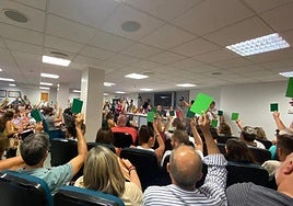 Una aplicación sustituirá las votaciones en urna y con tarjetones durante las asambleas de Hogueras.