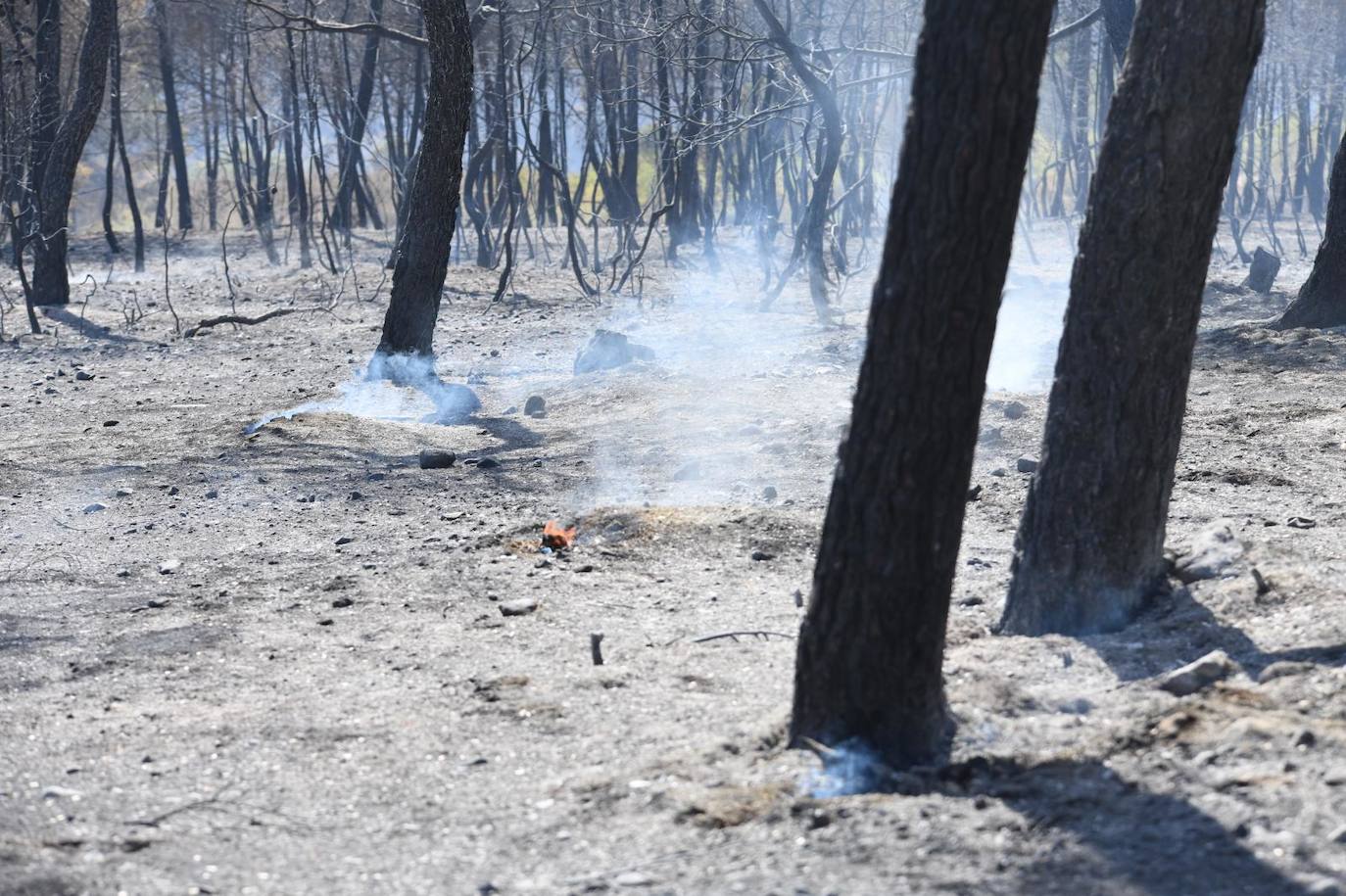 Una montaña de ceniza gris