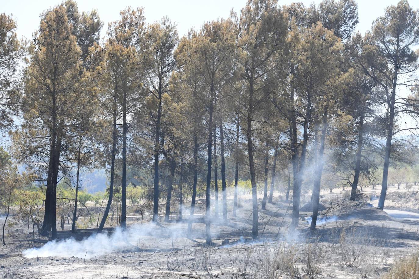 Una montaña de ceniza gris