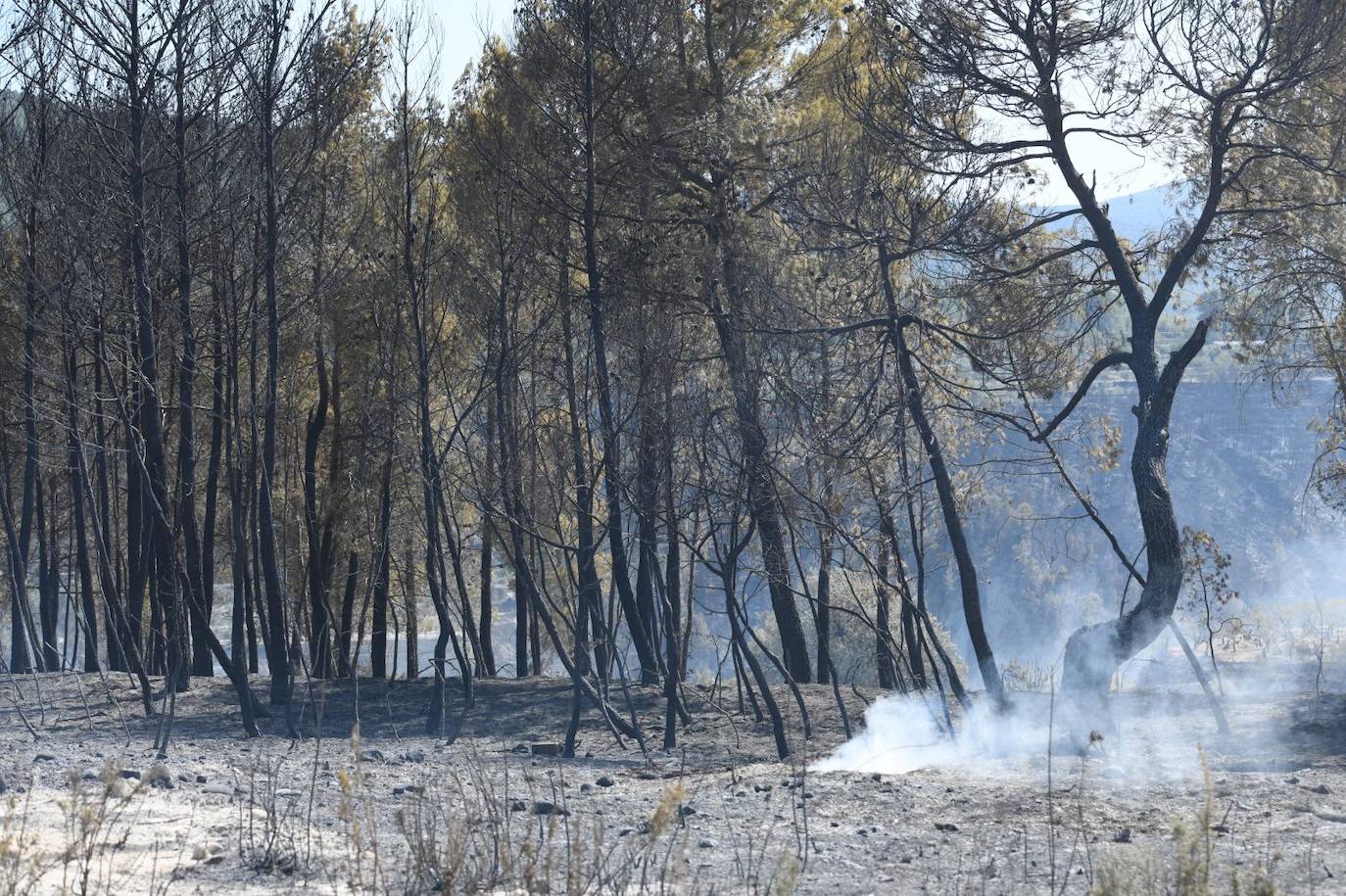 Una montaña de ceniza gris