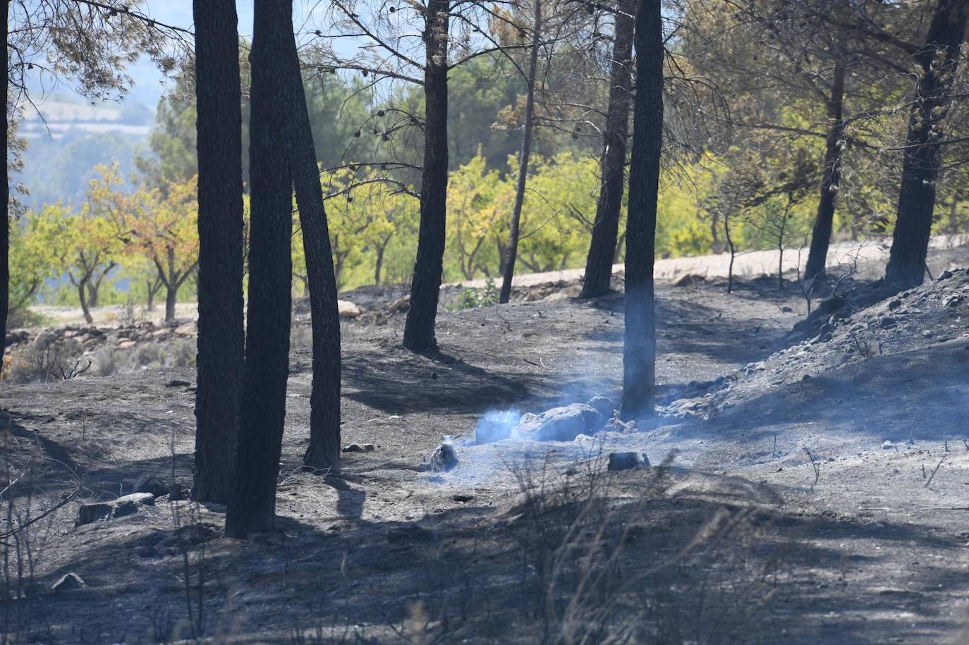 Una montaña de ceniza gris