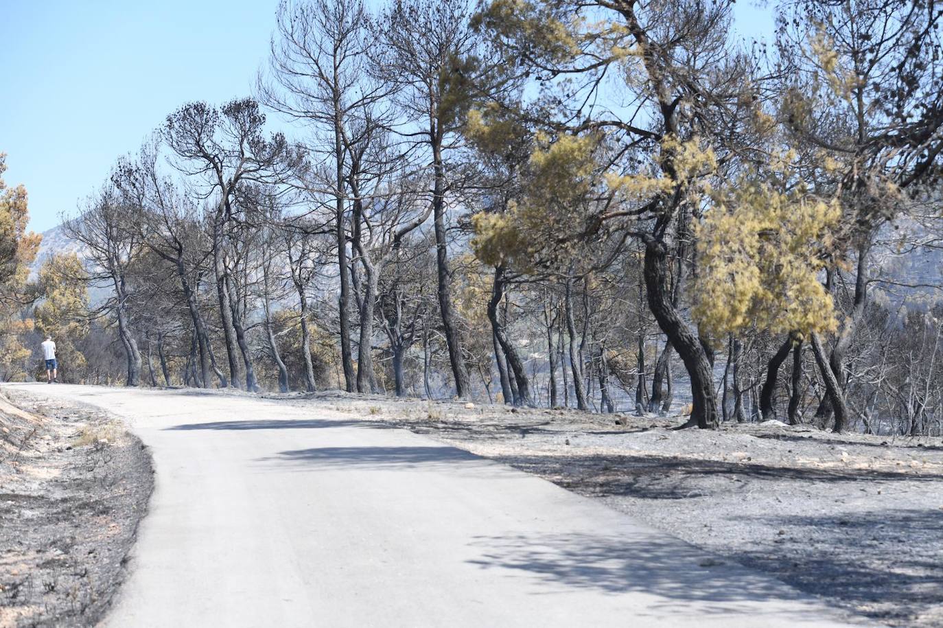 Una montaña de ceniza gris