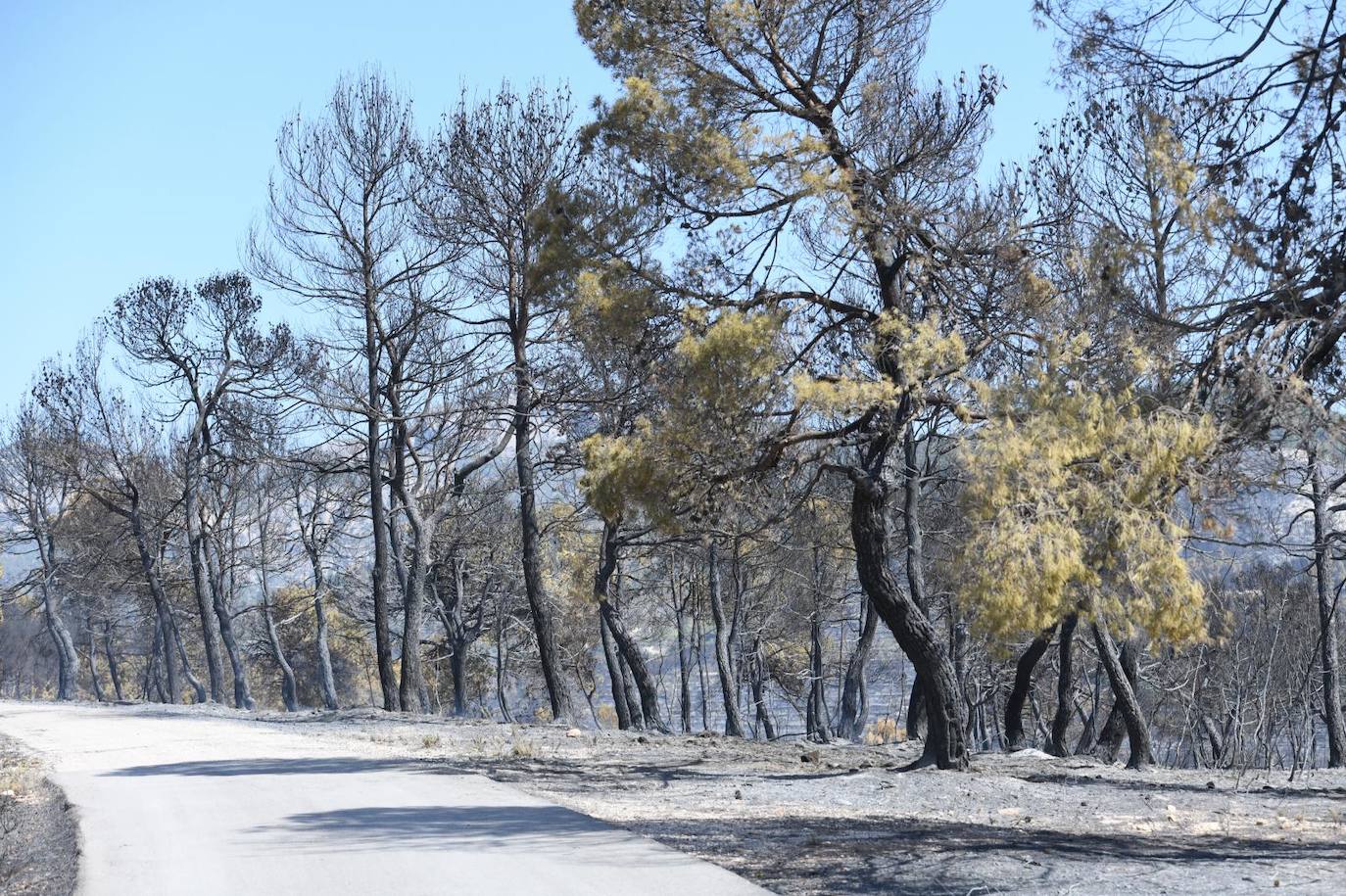 Una montaña de ceniza gris