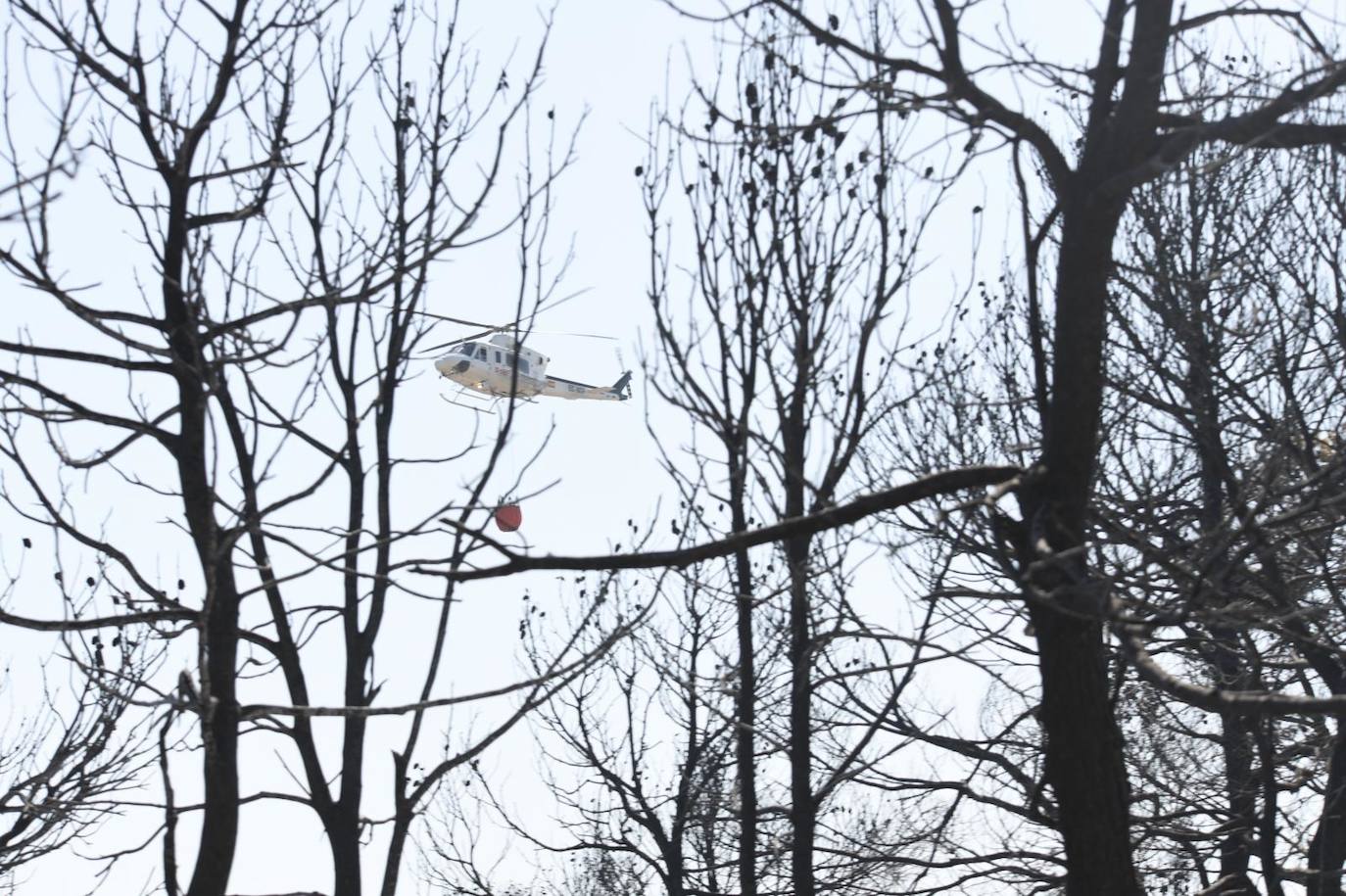 Una montaña de ceniza gris