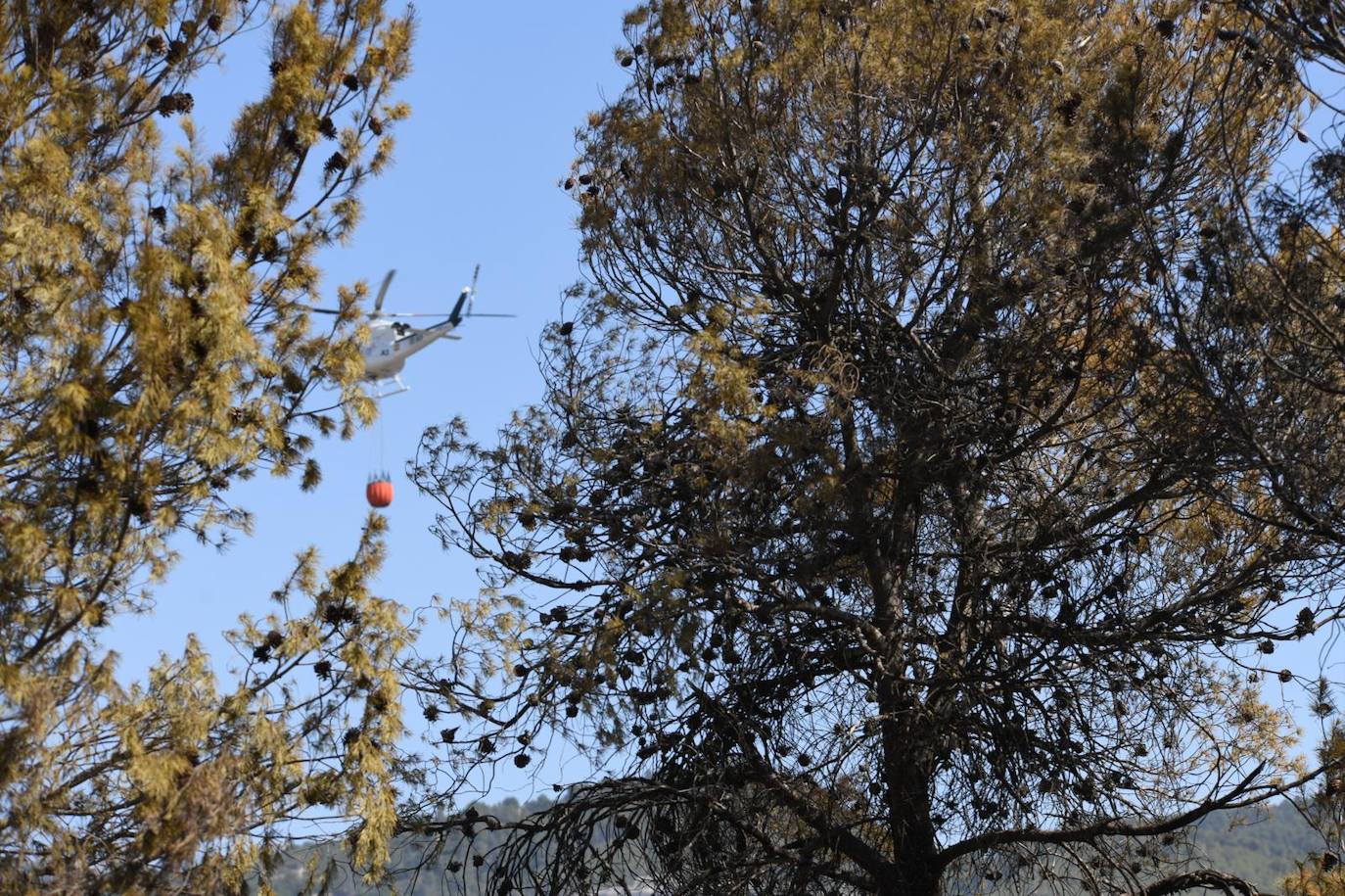 Una montaña de ceniza gris