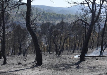 Extinguido el incendio de Benasau tras seis días
