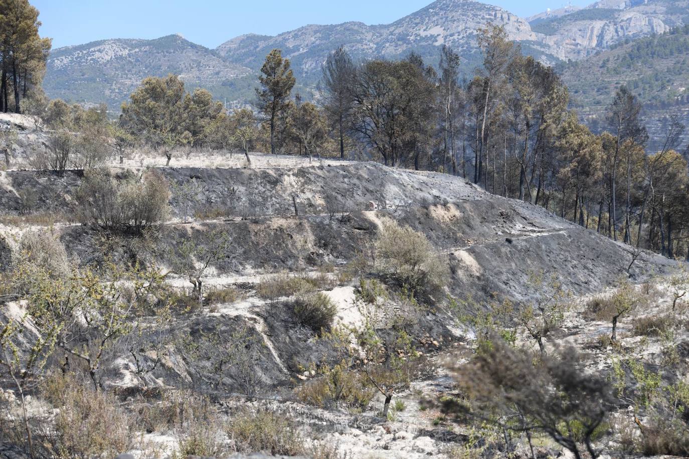 Una montaña de ceniza gris
