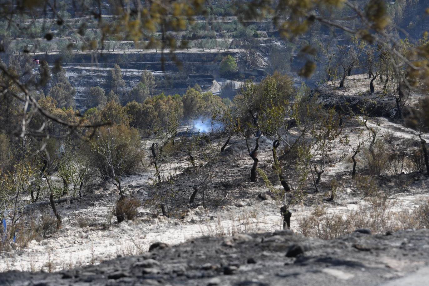 Una montaña de ceniza gris
