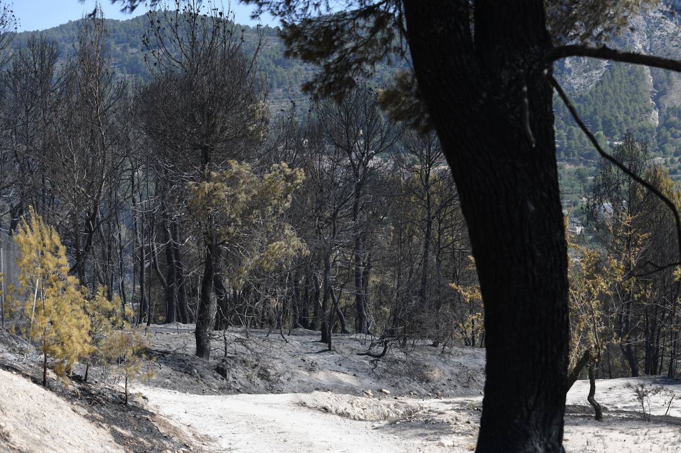 Una montaña de ceniza gris