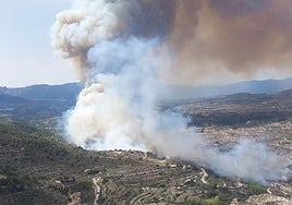 Incendio forestal en Benasau.