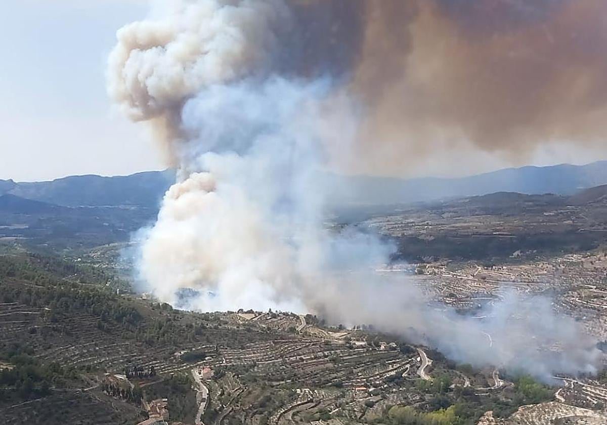 Incendio forestal en Benasau.