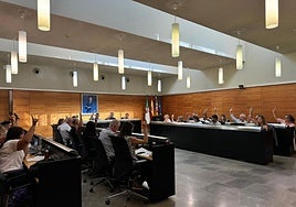 Pleno ordinario del mes de julio en San Vicente del Raspeig