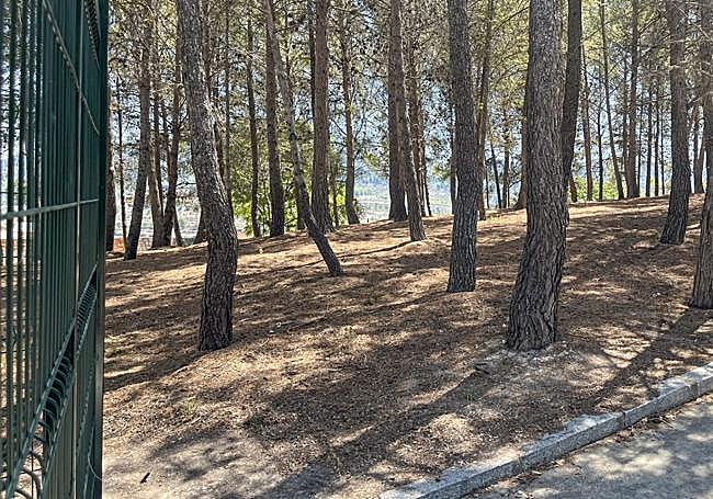 Zona del parque con arbolado