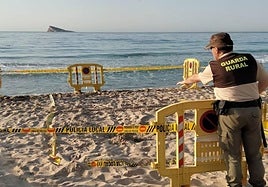 Imagen de la zona donde se ha encontrado