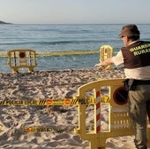 Una tortuga boba y un flamenco convierten la playa de Poniente de Benidorm en un safari