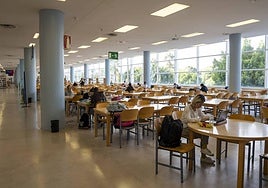 Estudiantes en la bilbioteca del Campus de la UA.