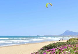 Imagen de la playa de Les Deveses en Dénia