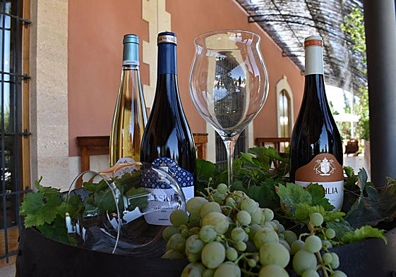 La Fiesta de la Vendimia contará con cata de vinos.