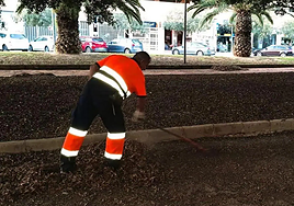 Un operario limpia una zona de Alicante.