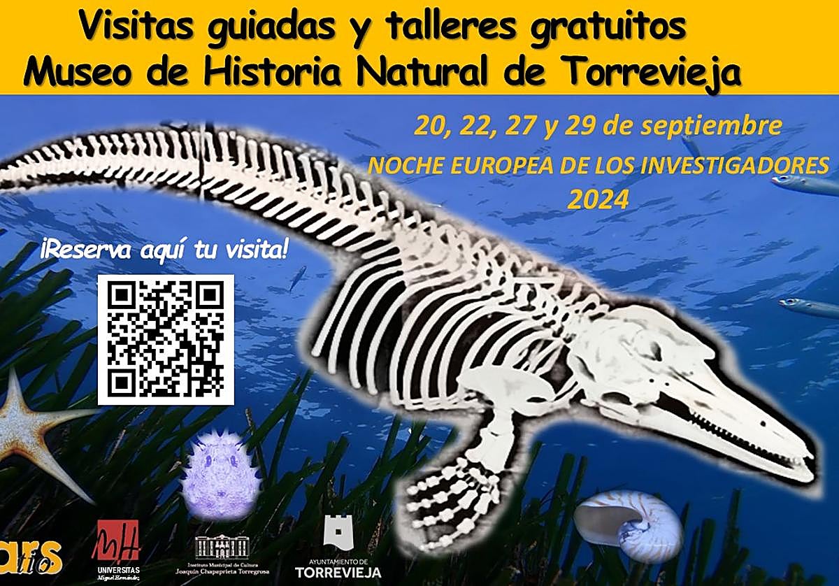 Cartel promocional de las actividades y talleres por la concejalia de cultura del Ayuntamiento de Torrevieja