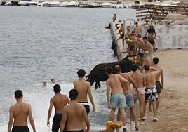 Bous a la mar de Xàbia.