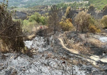 Las cenizas del incendio de abril en Tárbena tiñen de negro el río Algar