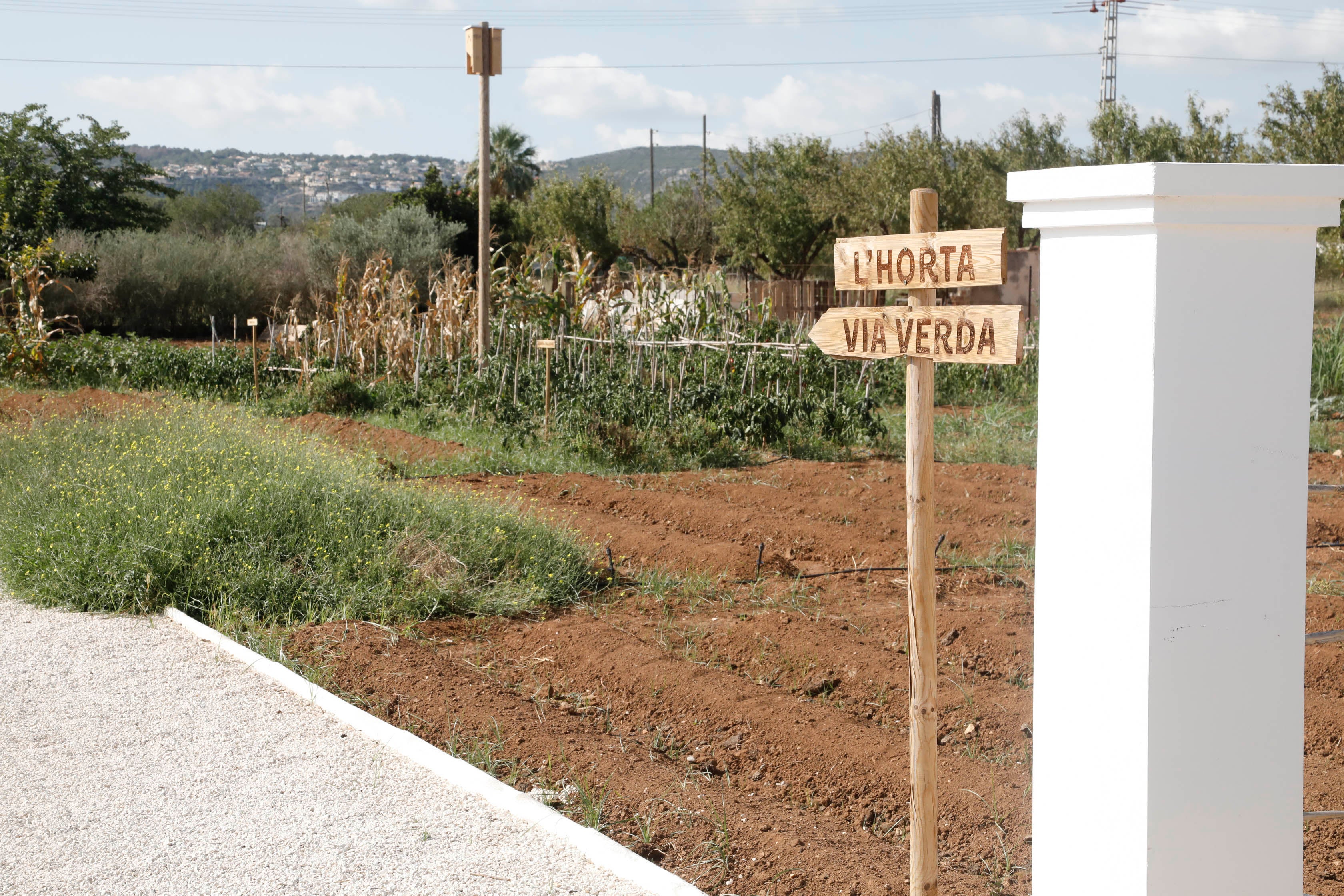D*na Festival Dénia rinde tributo al producto de la huerta desde la orilla del mar