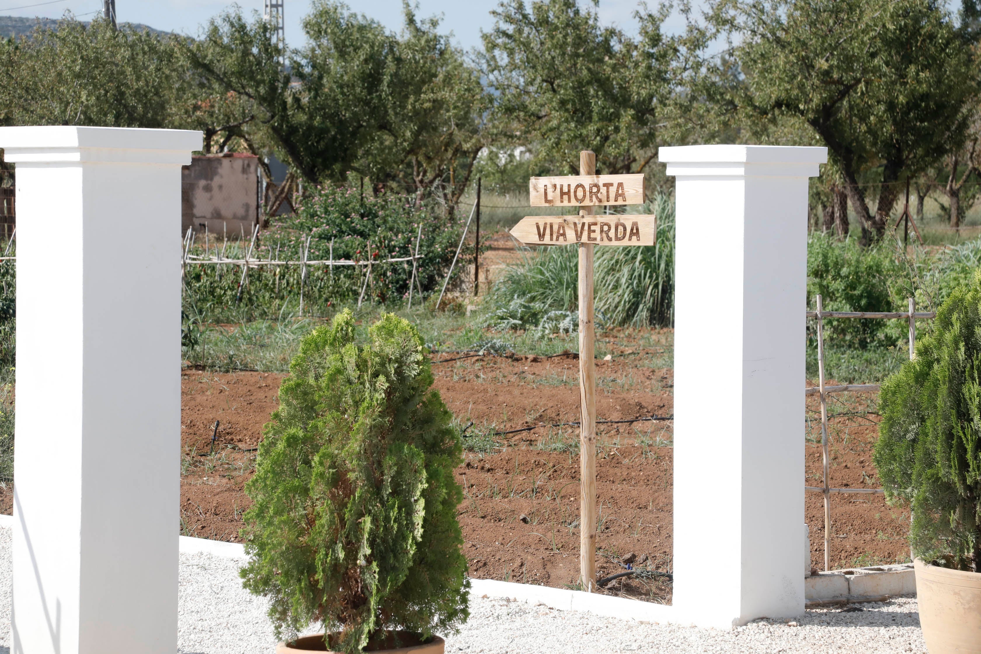 D*na Festival Dénia rinde tributo al producto de la huerta desde la orilla del mar