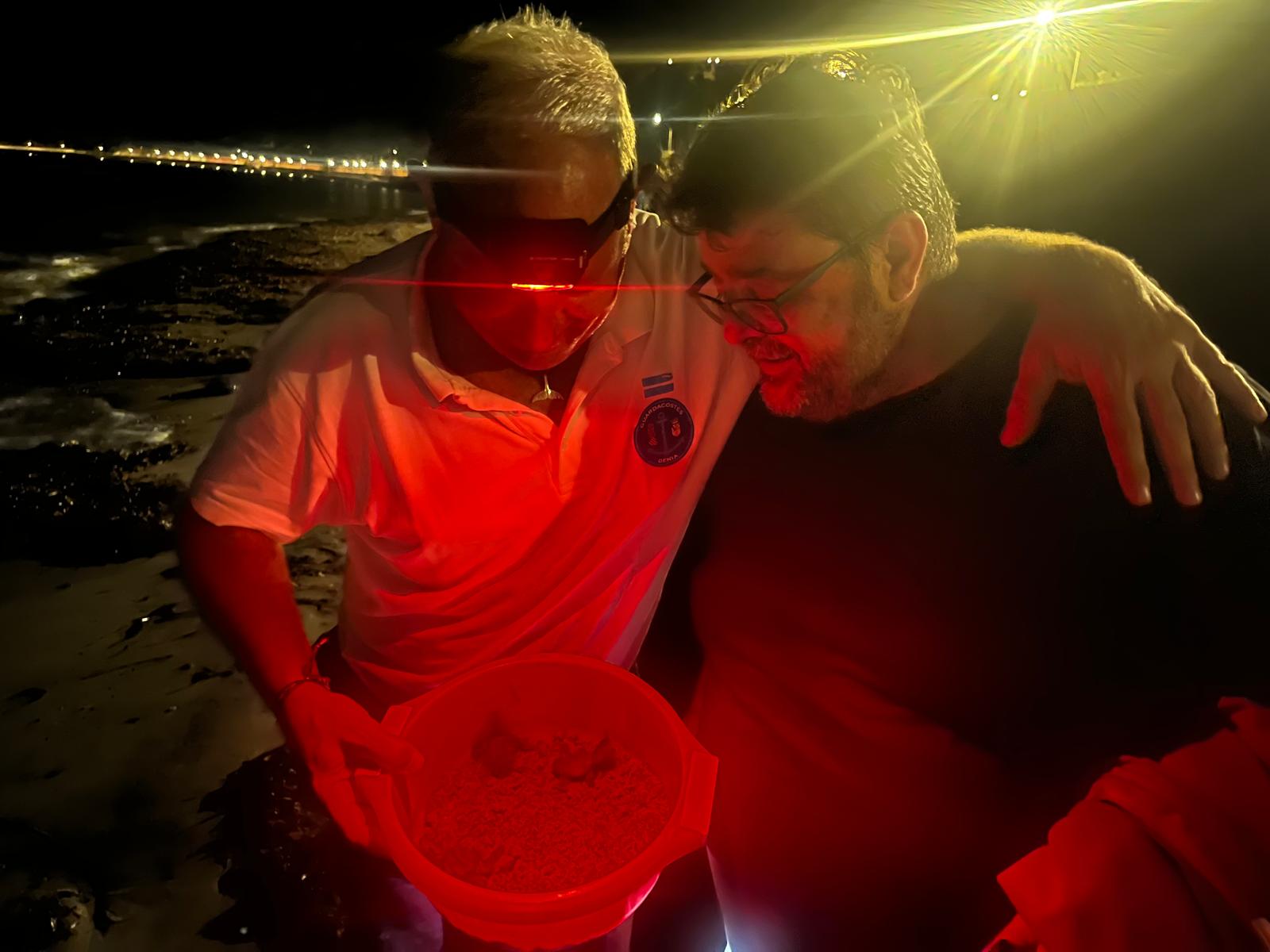 Nacen más de 100 tortugas en Dénia