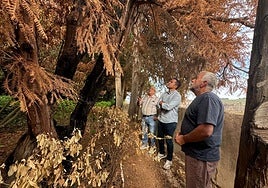El diputado socialista inspecciona una de las zonas que sufrió el incendio.