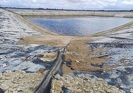 Balsa de Torremendo sin apenas agua que abastece a 25 hectáreas de cítricos.
