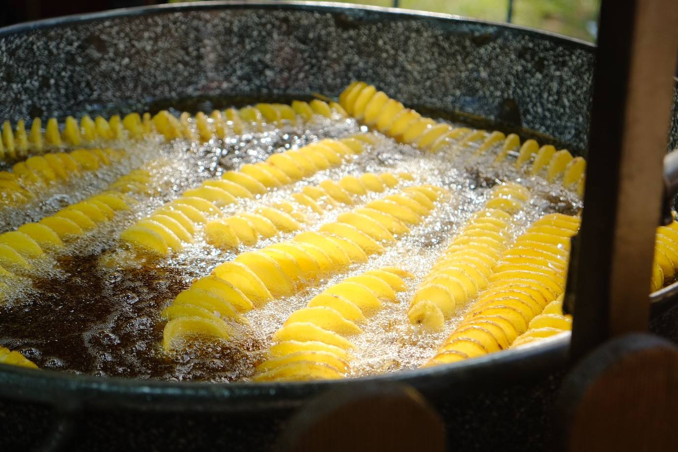 Las calles de Alicante se llenan con un sinfín de actividades