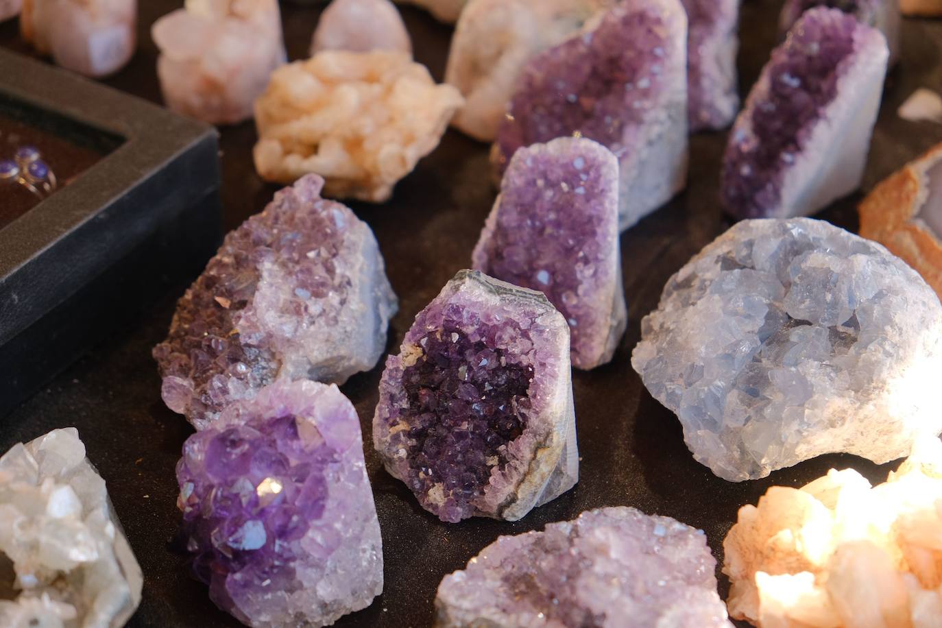 Las calles de Alicante se llenan con un sinfín de actividades